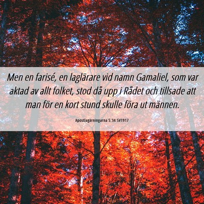 Picture 06 - Apostlagärningarna 5:34 SV1917 - Men en farisé, en laglärare vid namn Gamaliel, - Bible Verse Picture
