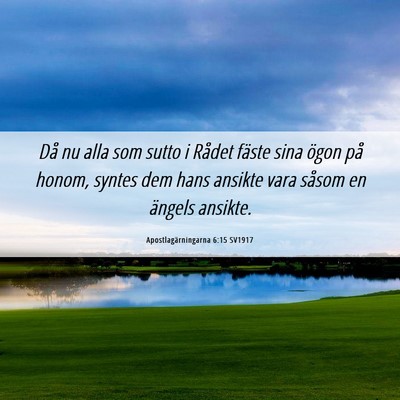 Picture 06 - Apostlagärningarna 6:15 SV1917 - Då nu alla som sutto i Rådet fäste sina ögon - Bible Verse Picture