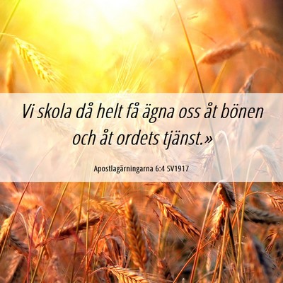 Picture 06 - Apostlagärningarna 6:4 SV1917 - Vi skola då helt få ägna oss åt bönen och - Bible Verse Picture