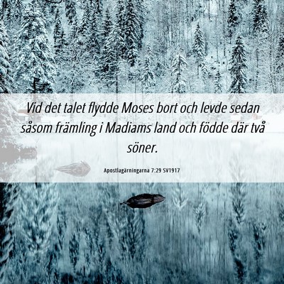 Picture 06 - Apostlagärningarna 7:29 SV1917 - Vid det talet flydde Moses bort och levde sedan - Bible Verse Picture