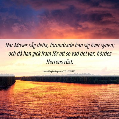 Picture 06 - Apostlagärningarna 7:31 SV1917 - När Moses såg detta, förundrade han sig över - Bible Verse Picture