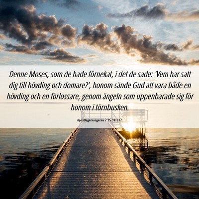 Picture 06 - Apostlagärningarna 7:35 SV1917 - Denne Moses, som de hade förnekat, i det de - Bible Verse Picture