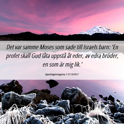 Picture 06 - Apostlagärningarna 7:37 SV1917 - Det var samme Moses som sade till Israels barn: - Bible Verse Picture