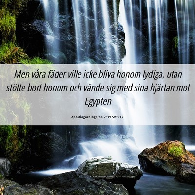 Picture 06 - Apostlagärningarna 7:39 SV1917 - Men våra fäder ville icke bliva honom lydiga, - Bible Verse Picture