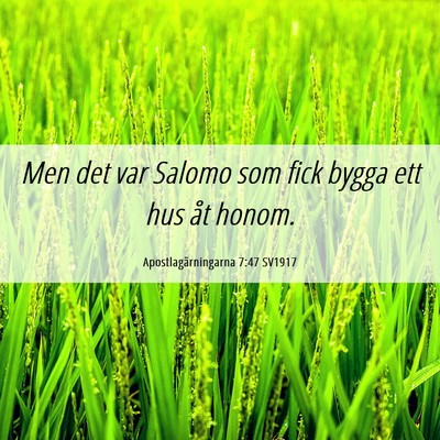 Picture 06 - Apostlagärningarna 7:47 SV1917 - Men det var Salomo som fick bygga ett hus åt - Bible Verse Picture
