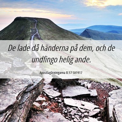 Picture 06 - Apostlagärningarna 8:17 SV1917 - De lade då händerna på dem, och de undfingo - Bible Verse Picture