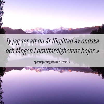 Picture 06 - Apostlagärningarna 8:23 SV1917 - Ty jag ser att du är förgiftad av ondska och - Bible Verse Picture