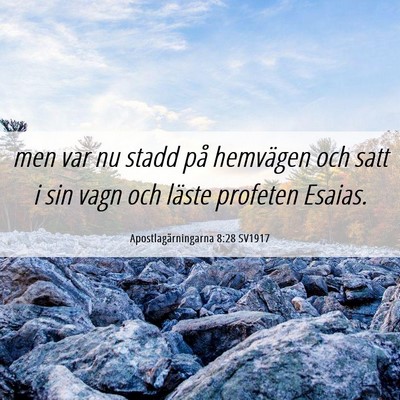 Picture 06 - Apostlagärningarna 8:28 SV1917 - men var nu stadd på hemvägen och satt i sin - Bible Verse Picture