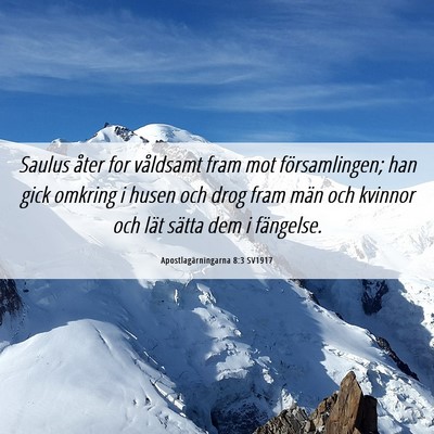 Picture 06 - Apostlagärningarna 8:3 SV1917 - Saulus åter for våldsamt fram mot - Bible Verse Picture