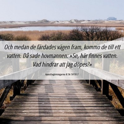 Picture 06 - Apostlagärningarna 8:36 SV1917 - Och medan de färdades vägen fram, kommo de till - Bible Verse Picture