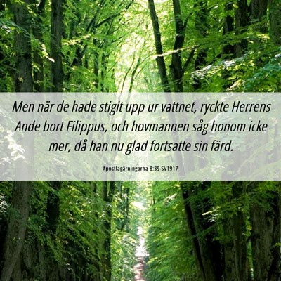 Picture 06 - Apostlagärningarna 8:39 SV1917 - Men när de hade stigit upp ur vattnet, ryckte - Bible Verse Picture