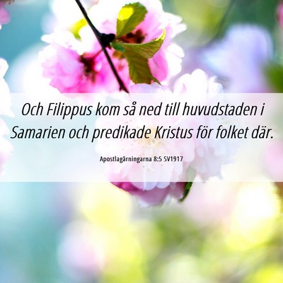 Picture 06 - Apostlagärningarna 8:5 SV1917 - Och Filippus kom så ned till huvudstaden i - Bible Verse Picture