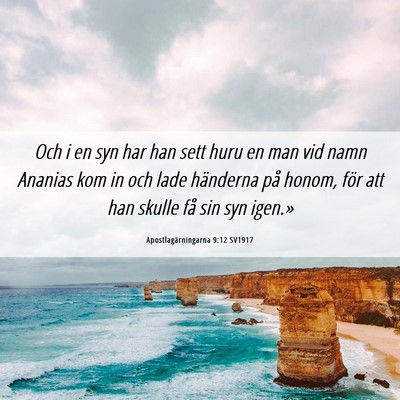 Picture 06 - Apostlagärningarna 9:12 SV1917 - Och i en syn har han sett huru en man vid namn - Bible Verse Picture