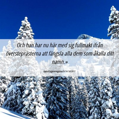 Picture 06 - Apostlagärningarna 9:14 SV1917 - Och han har nu här med sig fullmakt ifrån - Bible Verse Picture