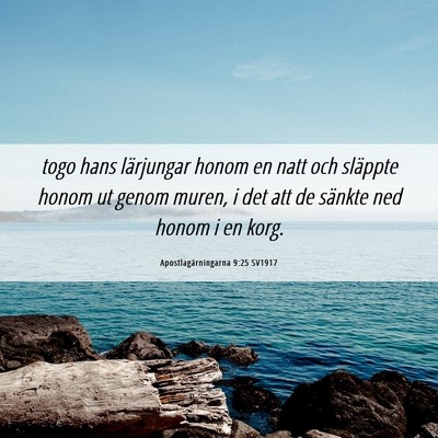 Picture 06 - Apostlagärningarna 9:25 SV1917 - togo hans lärjungar honom en natt och släppte - Bible Verse Picture