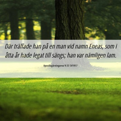 Picture 06 - Apostlagärningarna 9:33 SV1917 - Där träffade han på en man vid namn Eneas, som - Bible Verse Picture
