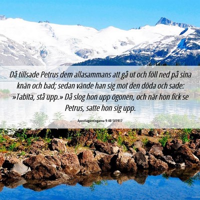 Picture 06 - Apostlagärningarna 9:40 SV1917 - Då tillsade Petrus dem allasammans att gå ut - Bible Verse Picture