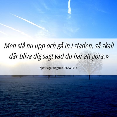 Picture 06 - Apostlagärningarna 9:6 SV1917 - Men stå nu upp och gå in i staden, så skall - Bible Verse Picture