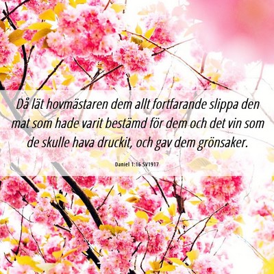 Picture 06 - Daniel 1:16 SV1917 - Då lät hovmästaren dem allt fortfarande slippa - Bible Verse Picture