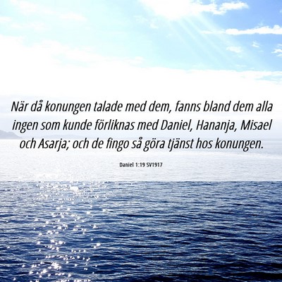 Picture 06 - Daniel 1:19 SV1917 - När då konungen talade med dem, fanns bland dem - Bible Verse Picture