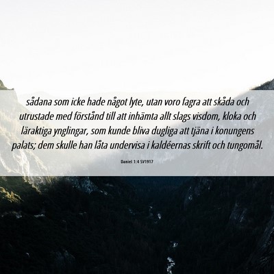 Picture 06 - Daniel 1:4 SV1917 - sådana som icke hade något lyte, utan voro - Bible Verse Picture