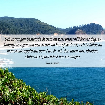 Picture 06 - Daniel 1:5 SV1917 - Och konungen bestämde åt dem ett visst - Bible Verse Picture