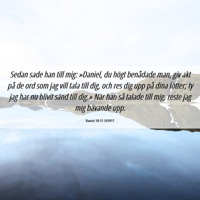 Picture 06 - Daniel 10:11 SV1917 - Sedan sade han till mig: »Daniel, du högt - Bible Verse Picture