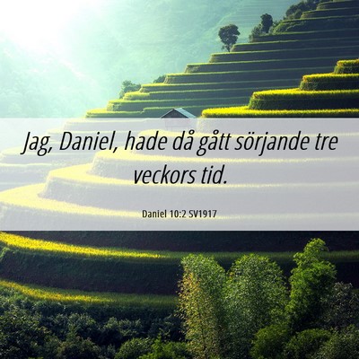 Picture 06 - Daniel 10:2 SV1917 - Jag, Daniel, hade då gått sörjande tre veckors - Bible Verse Picture