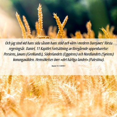 Picture 06 - Daniel 11:1 SV1917 - Och jag stod vid hans sida såsom hans stöd och - Bible Verse Picture