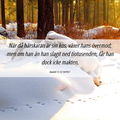 Picture 06 - Daniel 11:12 SV1917 - När då härskaran är sin kos, växer hans - Bible Verse Picture