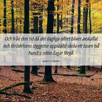 Picture 06 - Daniel 12:11 SV1917 - Och från den tid då det dagliga offret bliver - Bible Verse Picture