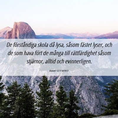 Picture 06 - Daniel 12:3 SV1917 - De förståndiga skola då lysa, såsom fästet - Bible Verse Picture