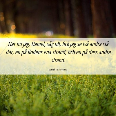 Picture 06 - Daniel 12:5 SV1917 - När nu jag, Daniel, såg till, fick jag se två - Bible Verse Picture