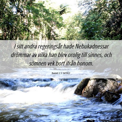 Picture 06 - Daniel 2:1 SV1917 - I sitt andra regeringsår hade Nebukadnessar - Bible Verse Picture
