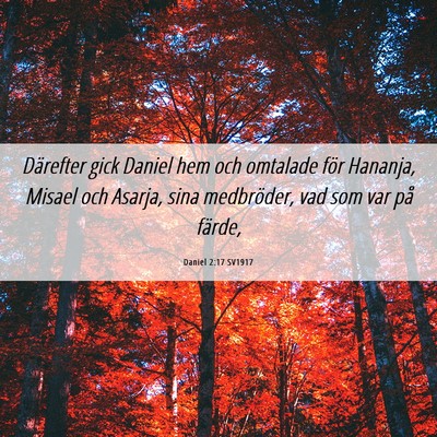 Picture 06 - Daniel 2:17 SV1917 - Därefter gick Daniel hem och omtalade för - Bible Verse Picture