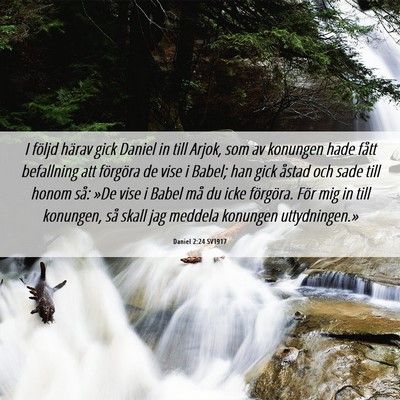 Picture 06 - Daniel 2:24 SV1917 - I följd härav gick Daniel in till Arjok, som av - Bible Verse Picture