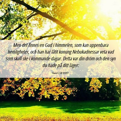 Picture 06 - Daniel 2:28 SV1917 - Men det finnes en Gud i himmelen, som kan - Bible Verse Picture