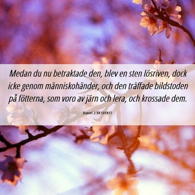 Picture 06 - Daniel 2:34 SV1917 - Medan du nu betraktade den, blev en sten - Bible Verse Picture