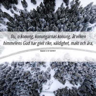 Picture 06 - Daniel 2:37 SV1917 - Du, o konung, konungarnas konung, åt vilken - Bible Verse Picture