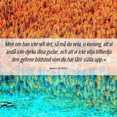 Picture 06 - Daniel 3:18 SV1917 - Men om han icke vill det, så må du veta, o - Bible Verse Picture