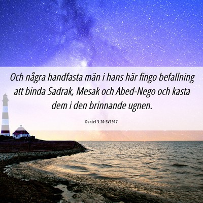 Picture 06 - Daniel 3:20 SV1917 - Och några handfasta män i hans här fingo - Bible Verse Picture