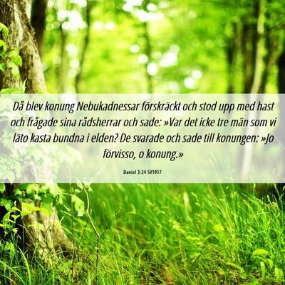 Picture 06 - Daniel 3:24 SV1917 - Då blev konung Nebukadnessar förskräckt och - Bible Verse Picture