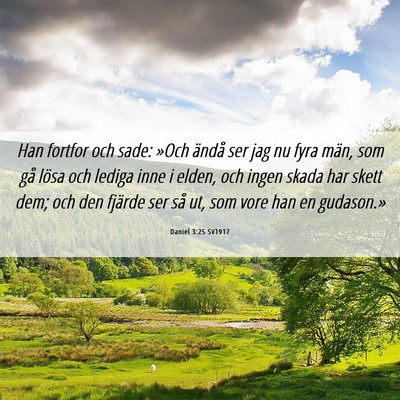 Picture 06 - Daniel 3:25 SV1917 - Han fortfor och sade: »Och ändå ser jag nu - Bible Verse Picture