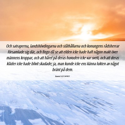 Picture 06 - Daniel 3:27 SV1917 - Och satraperna, landshövdingarna och - Bible Verse Picture