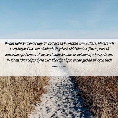 Picture 06 - Daniel 3:28 SV1917 - Då hov Nebukadnessar upp sin röst och sade: - Bible Verse Picture