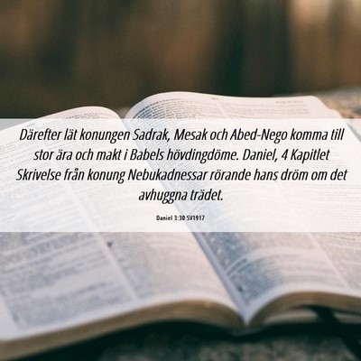 Picture 06 - Daniel 3:30 SV1917 - Därefter lät konungen Sadrak, Mesak och - Bible Verse Picture