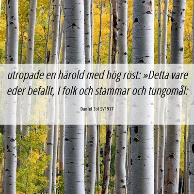 Picture 06 - Daniel 3:4 SV1917 - utropade en härold med hög röst: »Detta vare - Bible Verse Picture