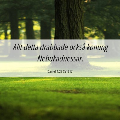 Picture 06 - Daniel 4:25 SV1917 - Allt detta drabbade också konung - Bible Verse Picture