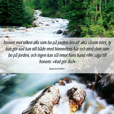 Picture 06 - Daniel 4:32 SV1917 - honom mot vilken alla som bo på jorden äro att - Bible Verse Picture