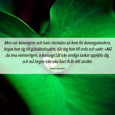 Picture 06 - Daniel 5:10 SV1917 - Men när konungens och hans stormäns tal kom - Bible Verse Picture